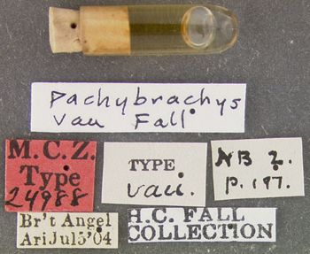 Media type: image;   Entomology 24988 Aspect: labels